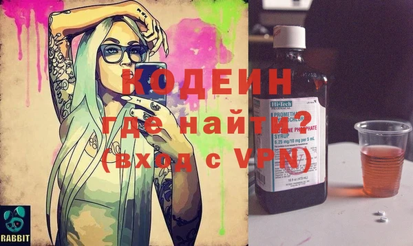 гашик Няндома