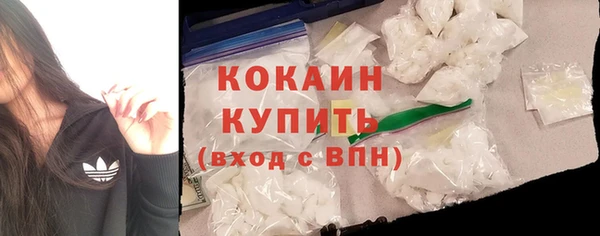 гашик Няндома