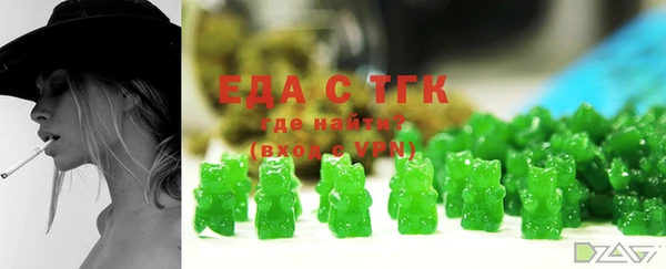 гашик Няндома