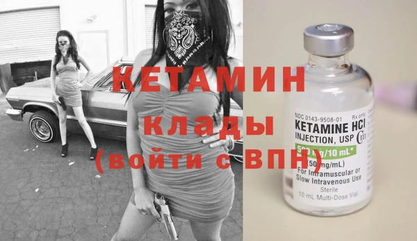гашик Няндома