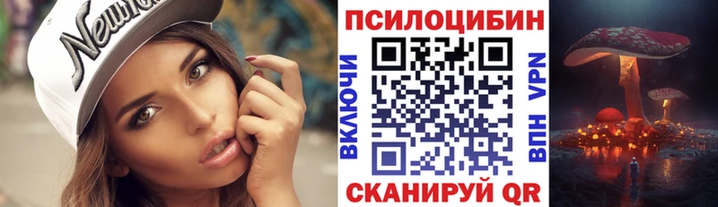 где можно купить   Кумертау  Псилоцибиновые грибы Cubensis 